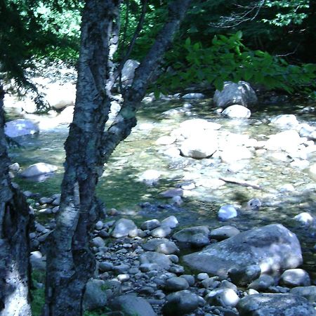 Franconia Notch Motel Линкольн Экстерьер фото