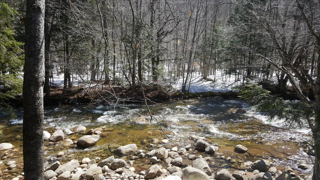Franconia Notch Motel Линкольн Экстерьер фото