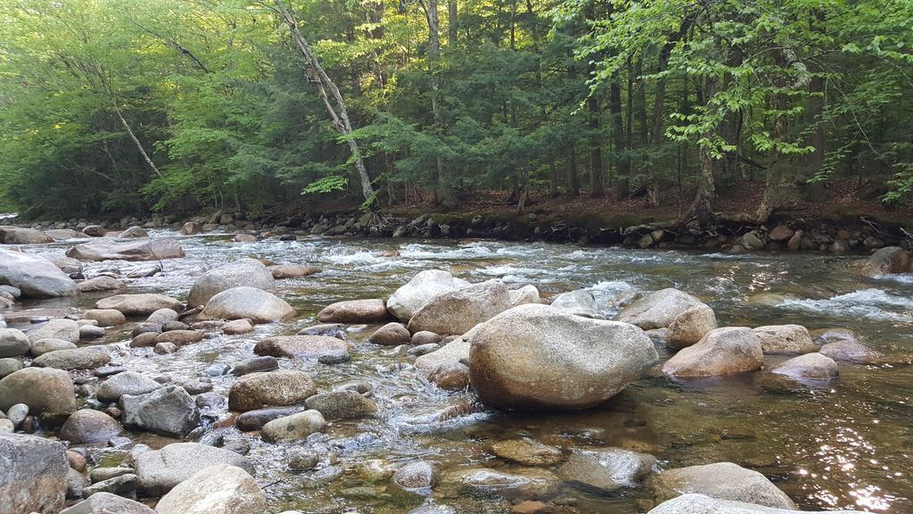 Franconia Notch Motel Линкольн Экстерьер фото