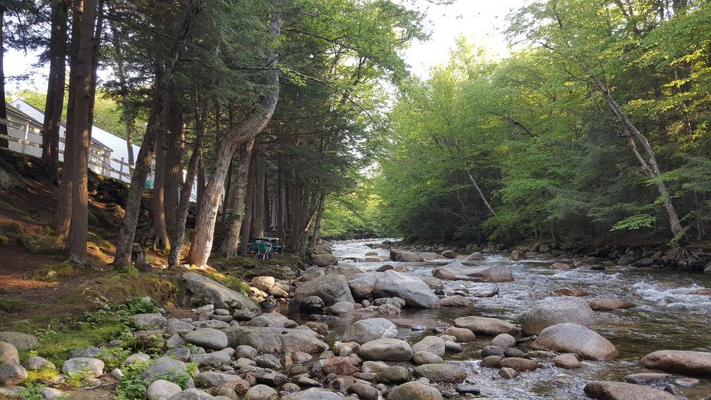 Franconia Notch Motel Линкольн Экстерьер фото