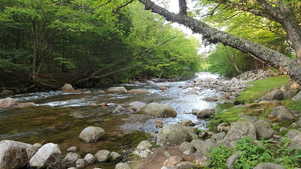 Franconia Notch Motel Линкольн Экстерьер фото