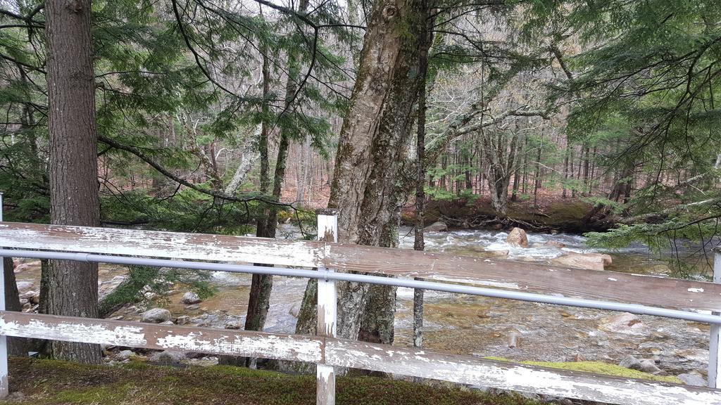 Franconia Notch Motel Линкольн Экстерьер фото